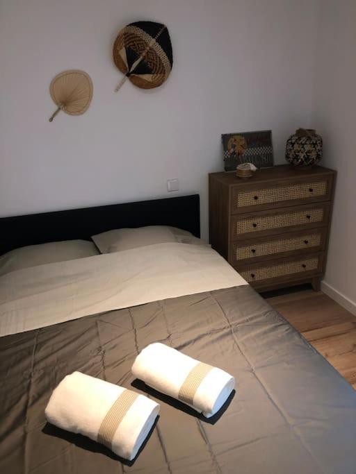 Cosy-grand Stade Villeneuve D'ascq Apartment Lezennes